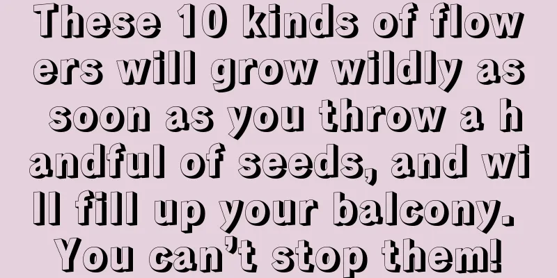 These 10 kinds of flowers will grow wildly as soon as you throw a handful of seeds, and will fill up your balcony. You can’t stop them!