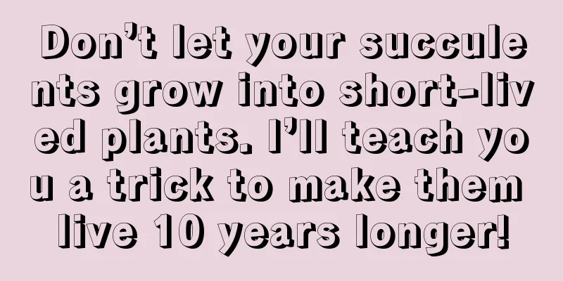 Don’t let your succulents grow into short-lived plants. I’ll teach you a trick to make them live 10 years longer!