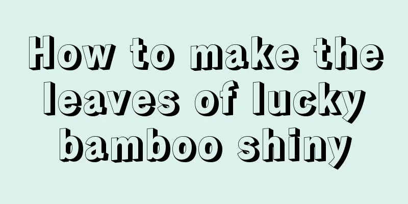 How to make the leaves of lucky bamboo shiny