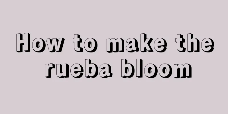 How to make the rueba bloom