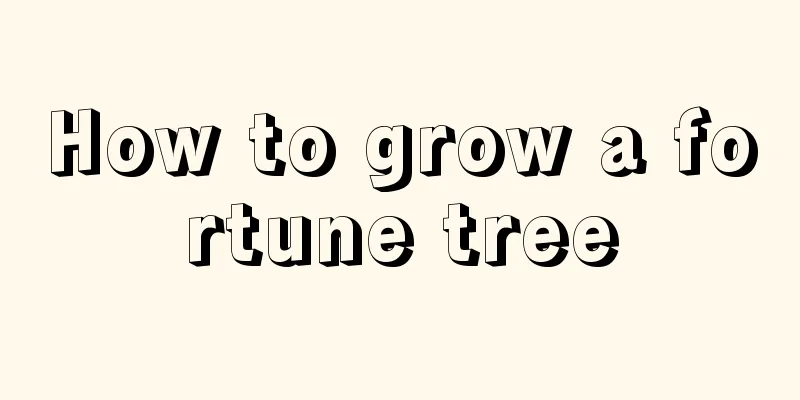 How to grow a fortune tree