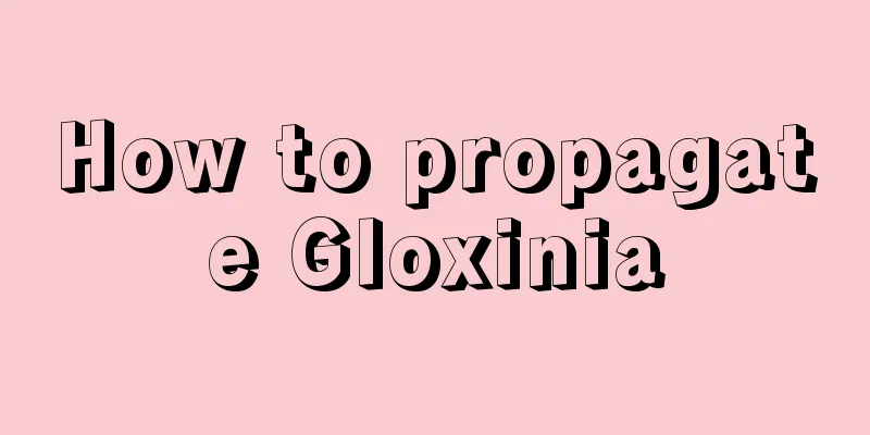 How to propagate Gloxinia