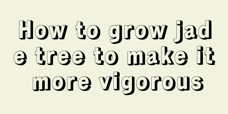 How to grow jade tree to make it more vigorous