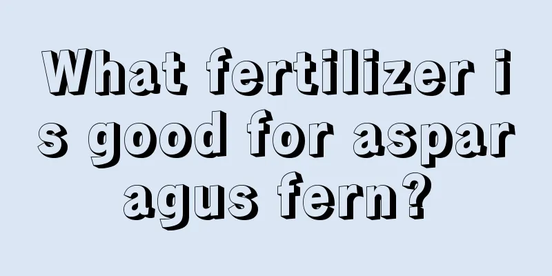 What fertilizer is good for asparagus fern?