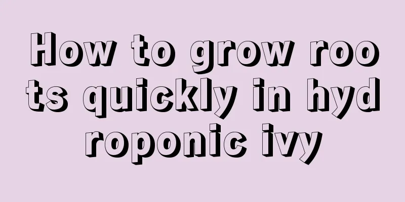 How to grow roots quickly in hydroponic ivy