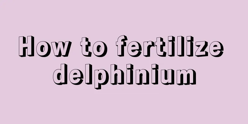 How to fertilize delphinium