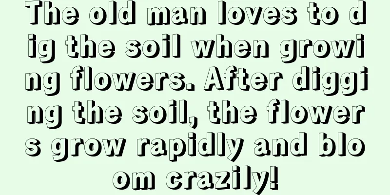 The old man loves to dig the soil when growing flowers. After digging the soil, the flowers grow rapidly and bloom crazily!