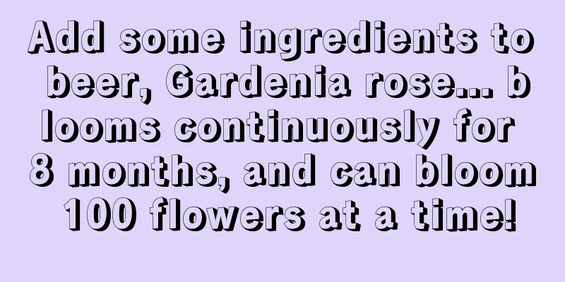 Add some ingredients to beer, Gardenia rose... blooms continuously for 8 months, and can bloom 100 flowers at a time!