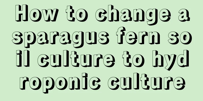 How to change asparagus fern soil culture to hydroponic culture