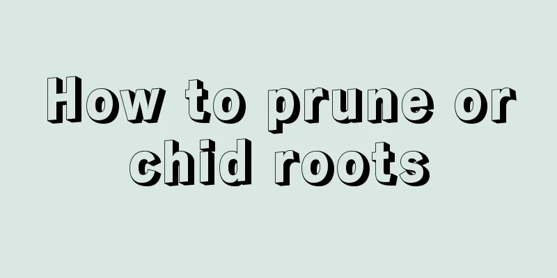 How to prune orchid roots