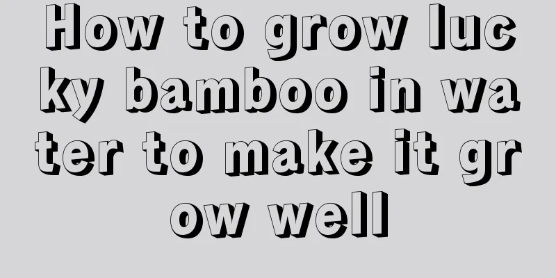 How to grow lucky bamboo in water to make it grow well