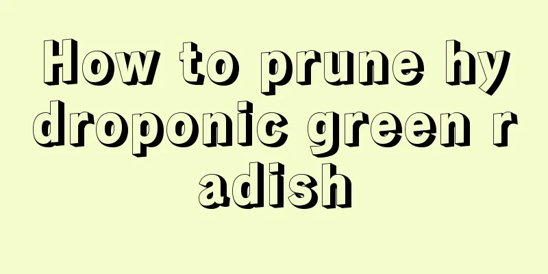 How to prune hydroponic green radish