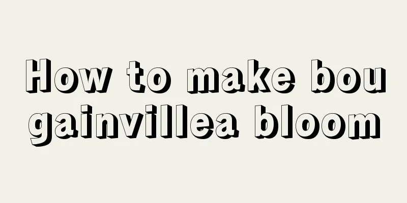 How to make bougainvillea bloom