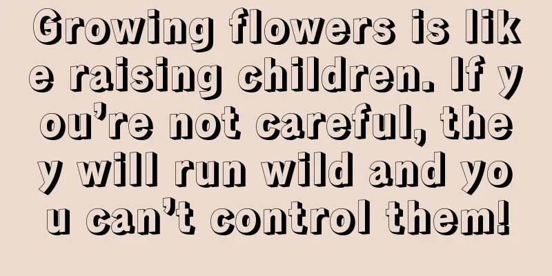 Growing flowers is like raising children. If you’re not careful, they will run wild and you can’t control them!