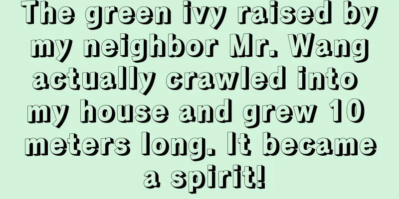 The green ivy raised by my neighbor Mr. Wang actually crawled into my house and grew 10 meters long. It became a spirit!