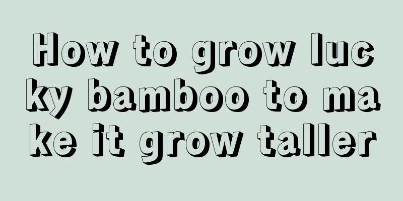 How to grow lucky bamboo to make it grow taller