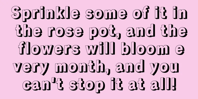 Sprinkle some of it in the rose pot, and the flowers will bloom every month, and you can't stop it at all!