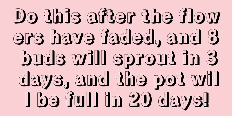 Do this after the flowers have faded, and 8 buds will sprout in 3 days, and the pot will be full in 20 days!