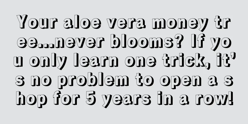 Your aloe vera money tree...never blooms? If you only learn one trick, it’s no problem to open a shop for 5 years in a row!