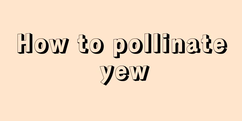 How to pollinate yew