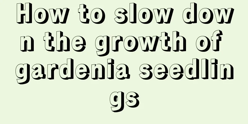 How to slow down the growth of gardenia seedlings