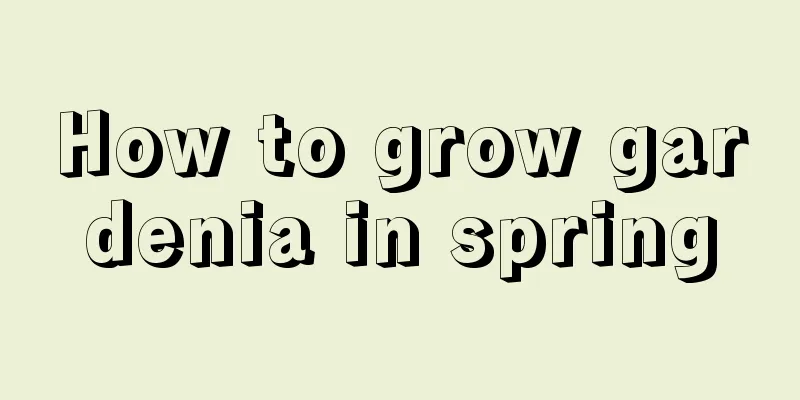 How to grow gardenia in spring