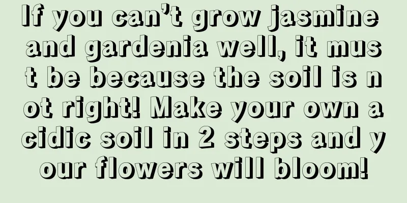 If you can’t grow jasmine and gardenia well, it must be because the soil is not right! Make your own acidic soil in 2 steps and your flowers will bloom!