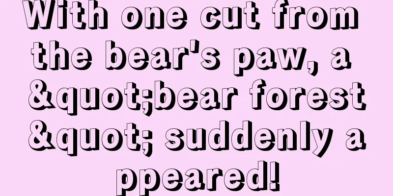 With one cut from the bear's paw, a "bear forest" suddenly appeared!