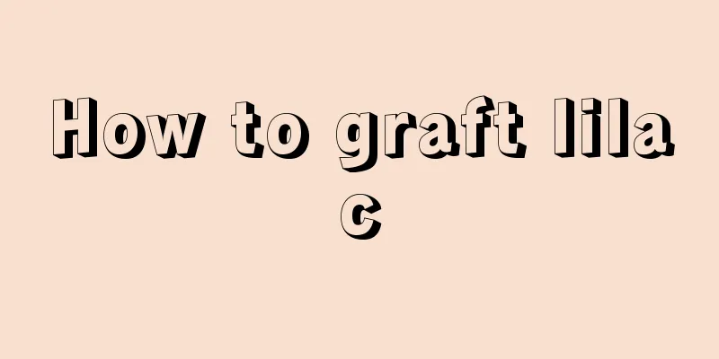 How to graft lilac