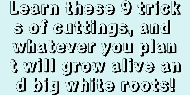 Learn these 9 tricks of cuttings, and whatever you plant will grow alive and big white roots!