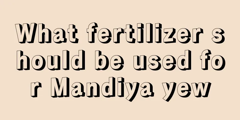 What fertilizer should be used for Mandiya yew