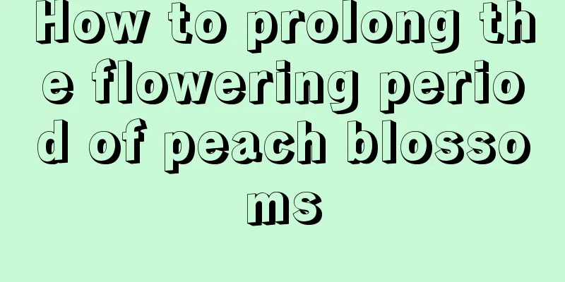 How to prolong the flowering period of peach blossoms