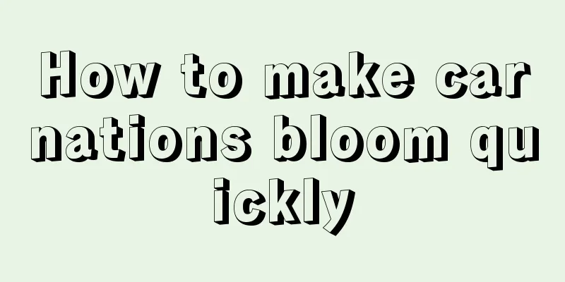 How to make carnations bloom quickly