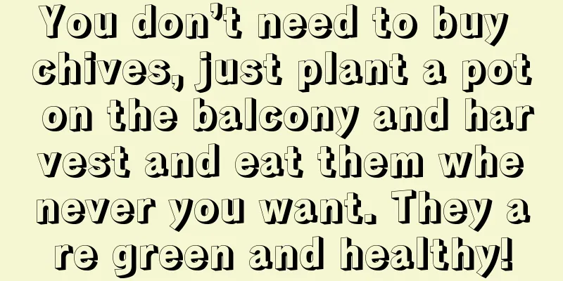 You don’t need to buy chives, just plant a pot on the balcony and harvest and eat them whenever you want. They are green and healthy!