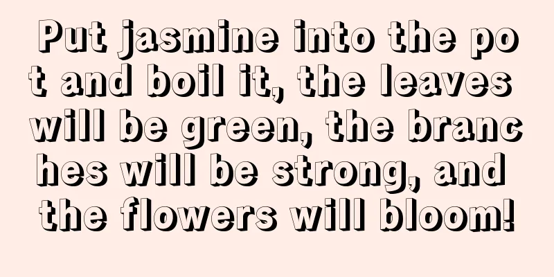 Put jasmine into the pot and boil it, the leaves will be green, the branches will be strong, and the flowers will bloom!