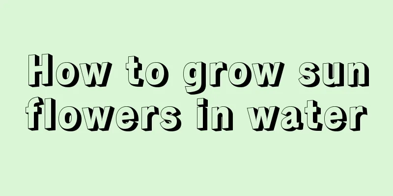 How to grow sunflowers in water