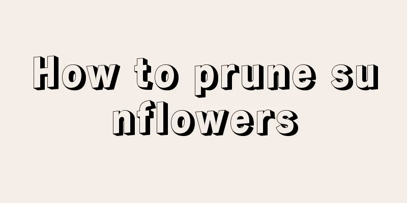 How to prune sunflowers