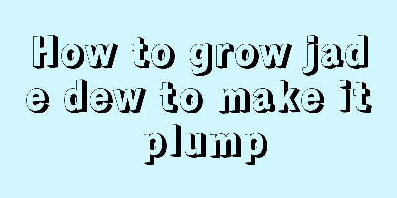 How to grow jade dew to make it plump