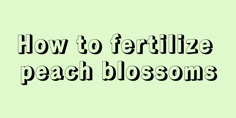 How to fertilize peach blossoms