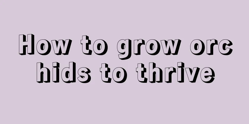 How to grow orchids to thrive