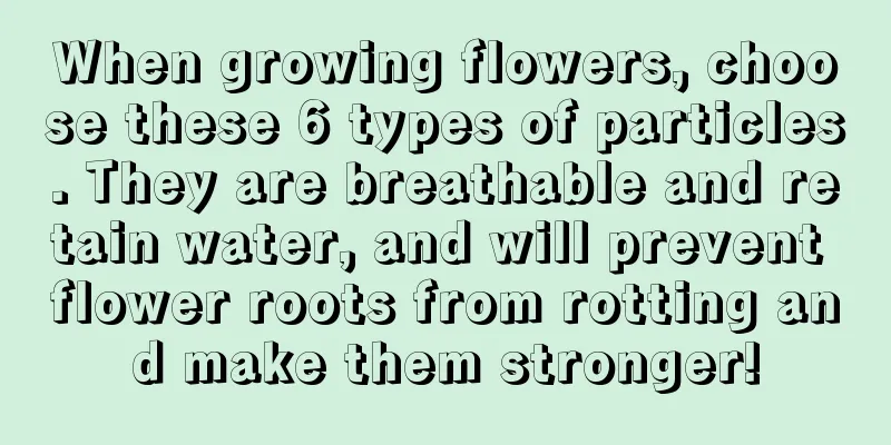 When growing flowers, choose these 6 types of particles. They are breathable and retain water, and will prevent flower roots from rotting and make them stronger!