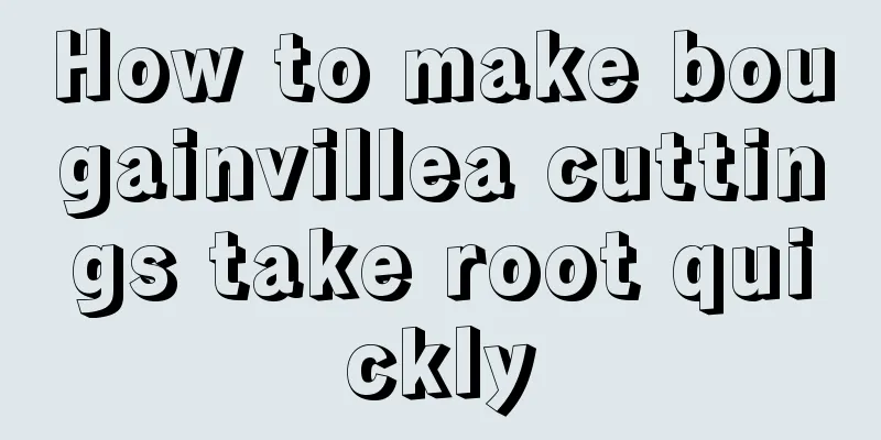 How to make bougainvillea cuttings take root quickly