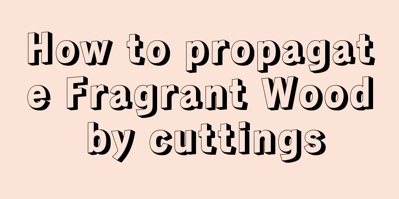 How to propagate Fragrant Wood by cuttings