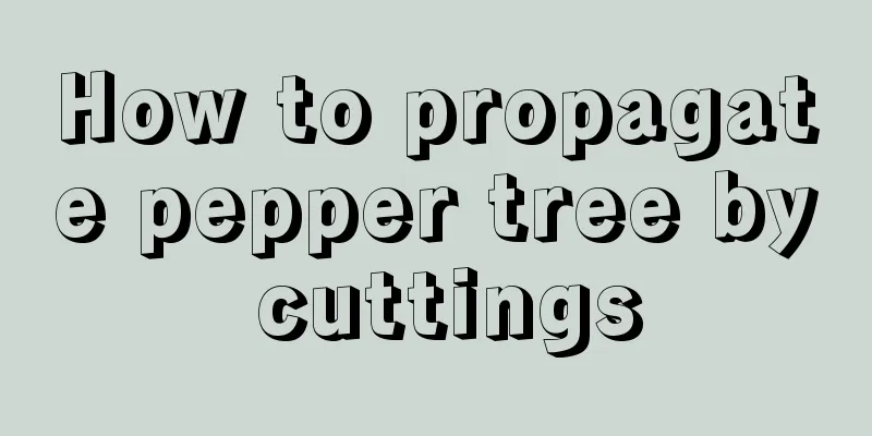 How to propagate pepper tree by cuttings