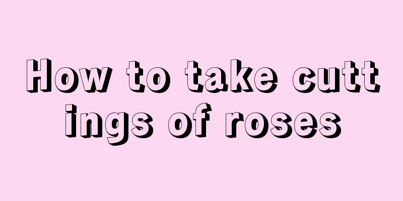 How to take cuttings of roses