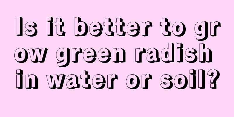 Is it better to grow green radish in water or soil?