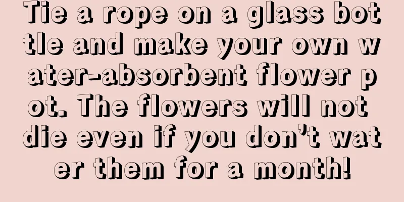 Tie a rope on a glass bottle and make your own water-absorbent flower pot. The flowers will not die even if you don’t water them for a month!