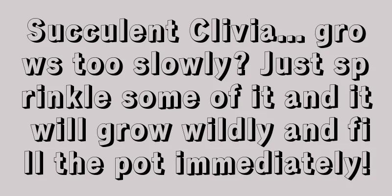 Succulent Clivia... grows too slowly? Just sprinkle some of it and it will grow wildly and fill the pot immediately!