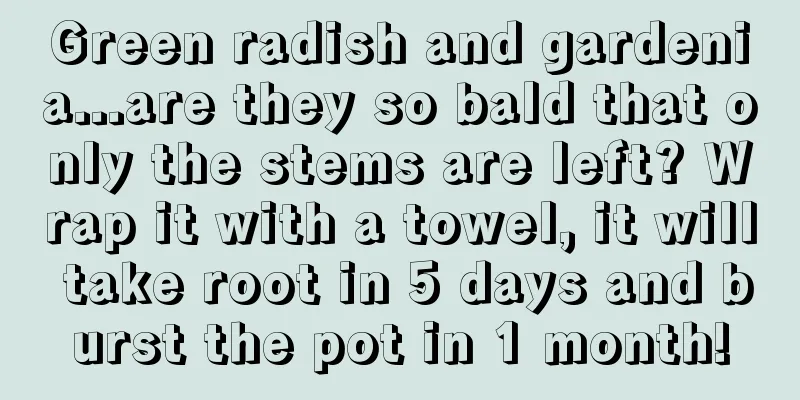 Green radish and gardenia...are they so bald that only the stems are left? Wrap it with a towel, it will take root in 5 days and burst the pot in 1 month!