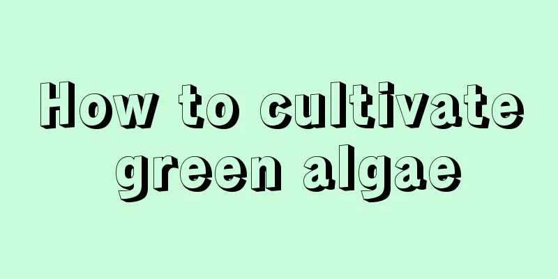 How to cultivate green algae